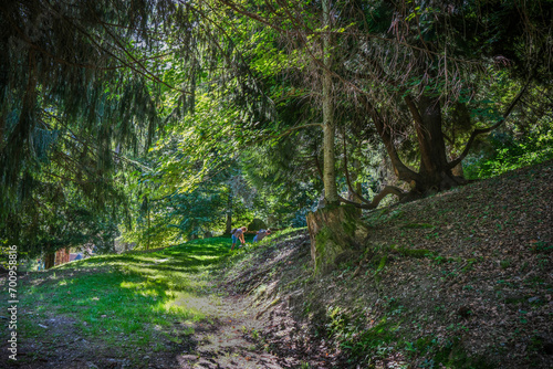 Bagneres de Luchon, Francia photo