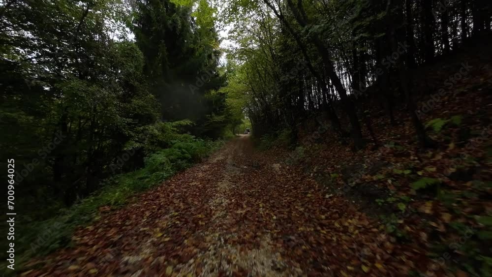 Aerial FPV drone view a forest road on an autumn sunny day. Trees forming a tunnel over a road in autumn Aerial FPV drone view a forest road on an autumn sunny day. Trees forming a tunnel over a road in autumn
