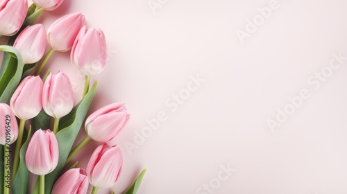 Beautiful colorful tulip flowers on pink background, top view. Space for text photo