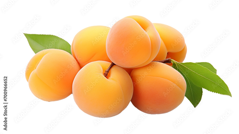 apricot isolated on white background, clipping path, full depth of field apricot isolated on white background, clipping path, full depth of field