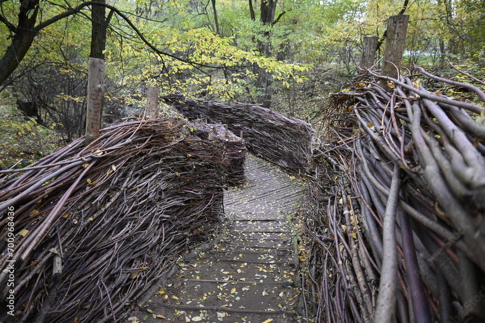 Fototapeta premium walk, ścieżka