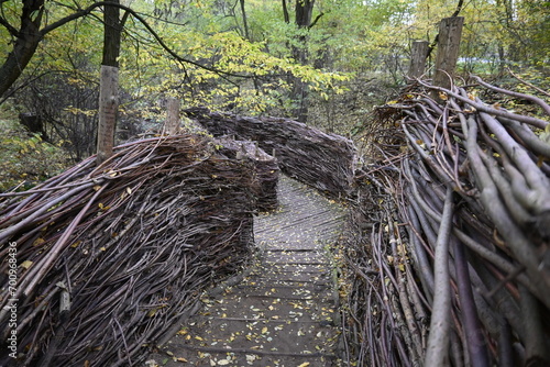 Wallpaper Mural walk, ścieżka Torontodigital.ca