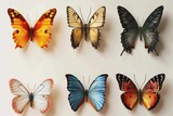 A group of different colored butterflies resting on a white surface. Perfect for nature-themed projects and designs