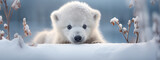 cute little polar bear on the background of a snowy forest