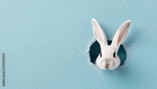 Easter Day - Cute Easter Bunny with Colorful Easter Eggs - Background with Space for Copy © Eggy