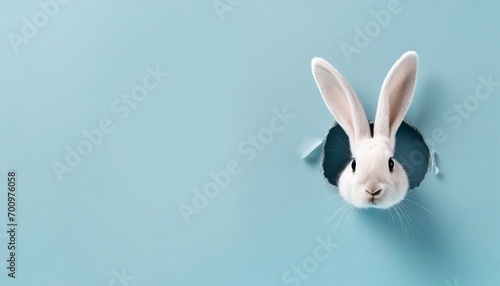 Easter Day - Cute Easter Bunny with Colorful Easter Eggs - Background with Space for Copy