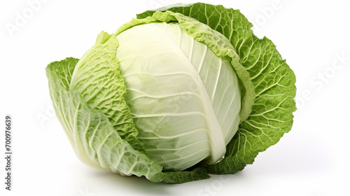 Green cabbage isolated on white background with full depth of field