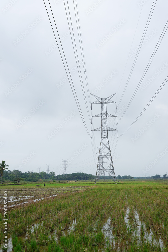 Transmission line towers in the ricefields