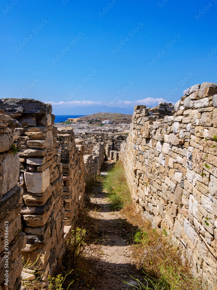 Delos Archaeological Site, Delos Island, Cyclades, Greece
