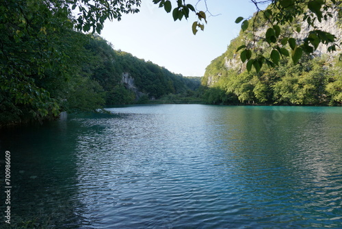 lake in the forest