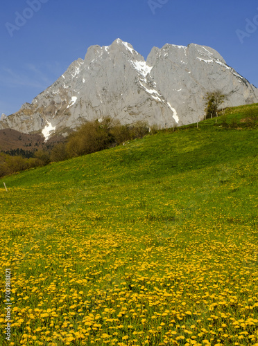 Lescun Cirque. Spring is coming to the Lescun Cirque in the Aspe Valley, Pyrenees National Park, France. © poliki