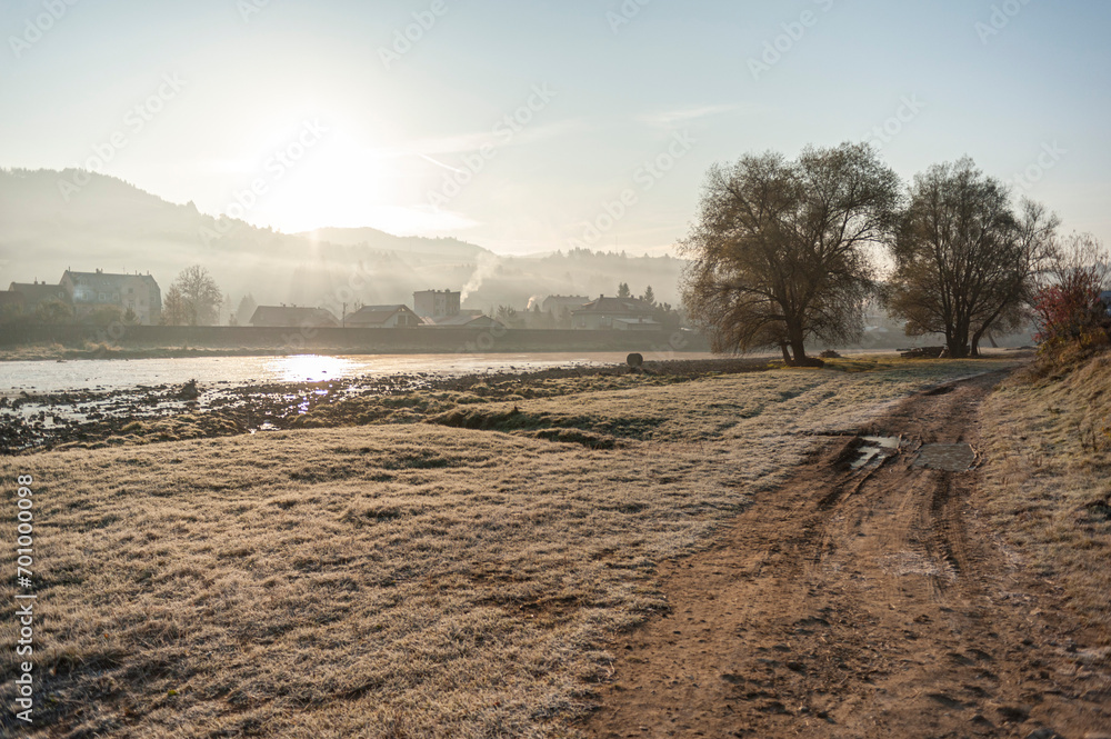 Obraz premium Autumn forest, Beskid Sądecki, Lesser Poland, EU, Jesienny las, Beskid Sądecki, Małopolska, EU