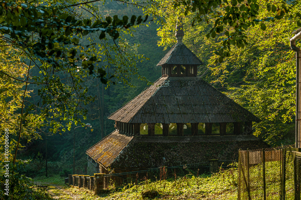 Autumn forest, Beskid Sądecki, Lesser Poland, EU, Jesienny las, Beskid Sądecki, Małopolska, EU - obrazy, fototapety, plakaty 