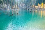 Autumn view of lake Kaindy or Dead lake of Kazakhstan with tree trunks rising up from its blueish water, horizontal shot