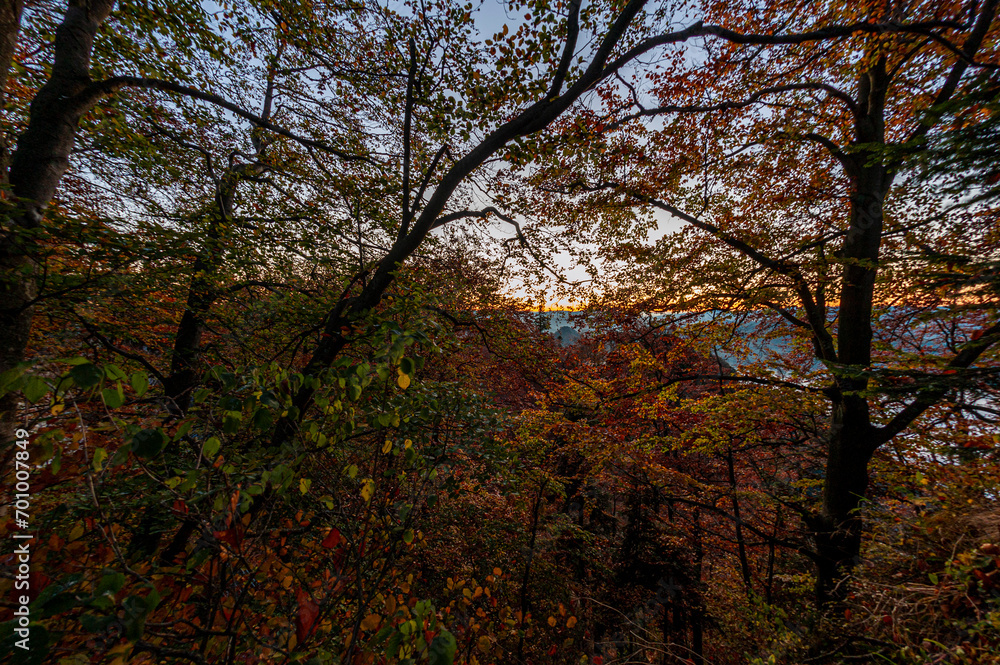 Autumn forest, Pieniny , Lesser Poland, EU, Jesienny las, Beskid Sądecki, Małopolska, EU