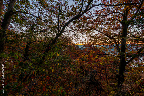 Autumn forest, Pieniny , Lesser Poland, EU, Jesienny las, Beskid Sądecki, Małopolska, EU © Maciej G. Szling