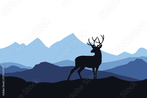 deer in the mountains