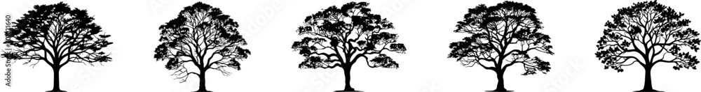 Obraz premium Tree silhouettes, vector, conifers, etc.