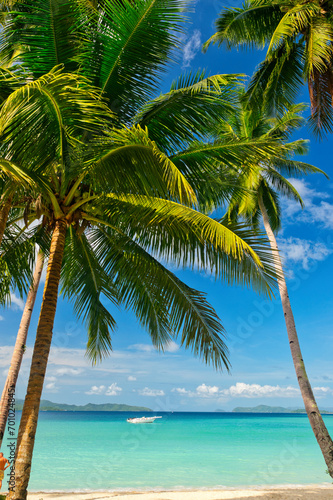 Fototapeta Naklejka Na Ścianę i Meble -  Port Barton, Palawan  Philippines - December 23 2023 - Beautiful coastline and turquoise water at the Port Barton Beach in San Vicente, Palawanin the White Beach near Port Barton