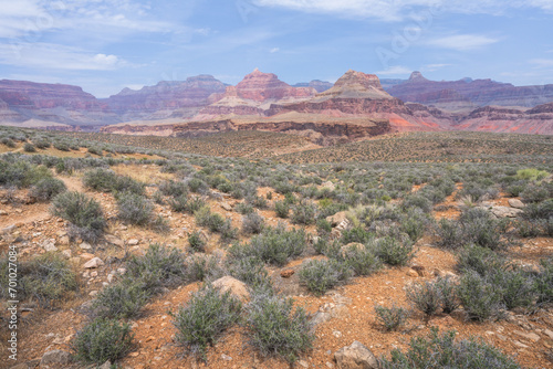 hiking the tonto trail in the grand canyon national park, arizona, usa