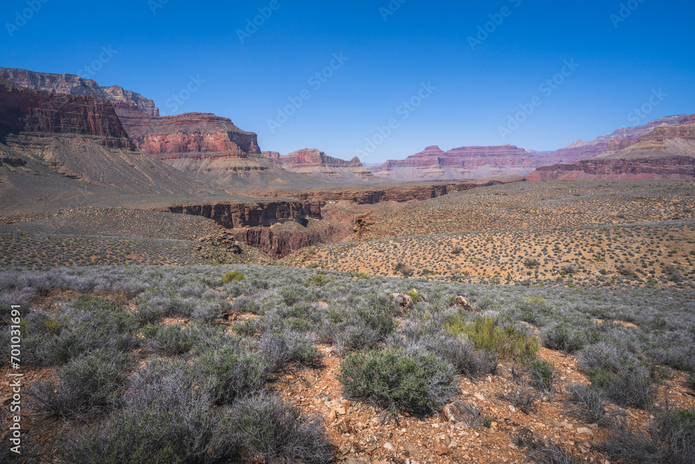 hiking the tonto trail in the grand canyon national park, arizona, usa