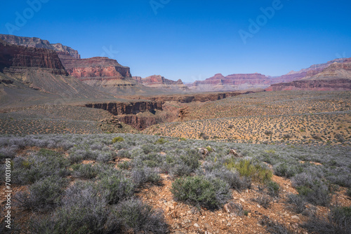 Obraz na płótnie hiking the tonto trail in the grand canyon national park, arizona, usa w salonie