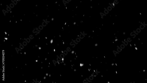 Snow snowing in black background