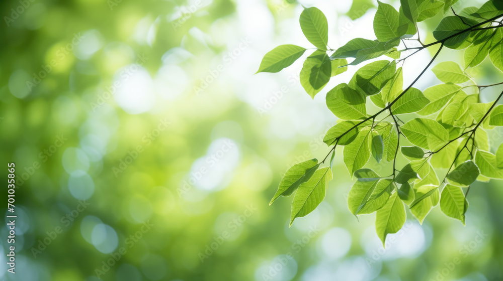 Obraz premium ?lose-up of vibrant green leaves with a soft-focus background