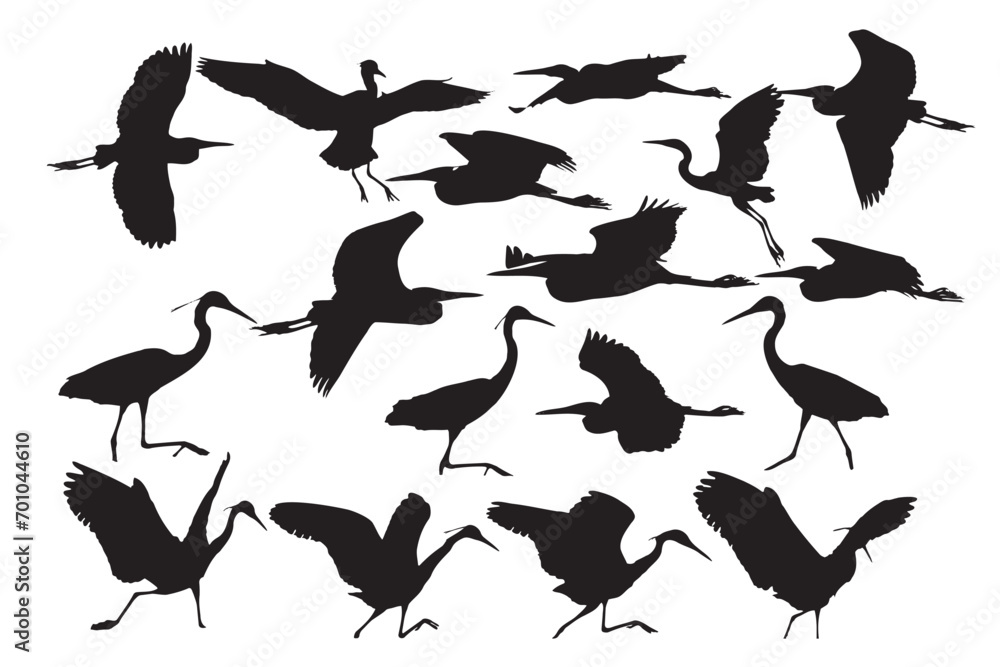 Herons. Vector images. White background. Herons. Vector images. White background.