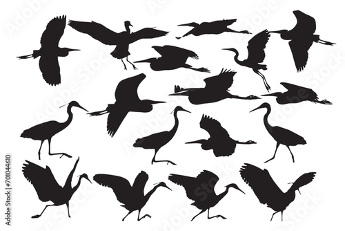 Herons. Vector images. White background. 