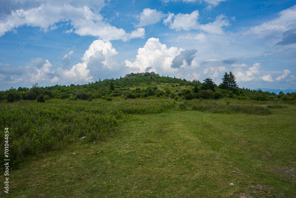 grassy meadow and sky with clouds, Grayson Highlands State Park, Virginia grassy meadow and sky with clouds, Grayson Highlands State Park, Virginia