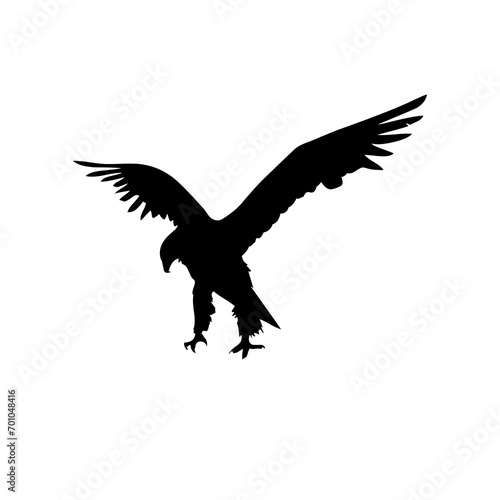 eagle in flight