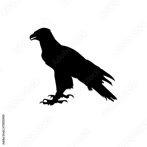 silhouette of an eagle image in PNG format