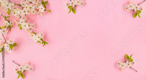 Cherry blossom on the pink background. Copy space. Spring background.