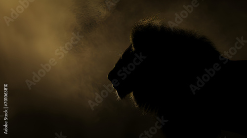 lion silhouette with mist in the background