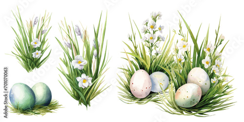 easter eggs in grass and flowers watercolor vectors