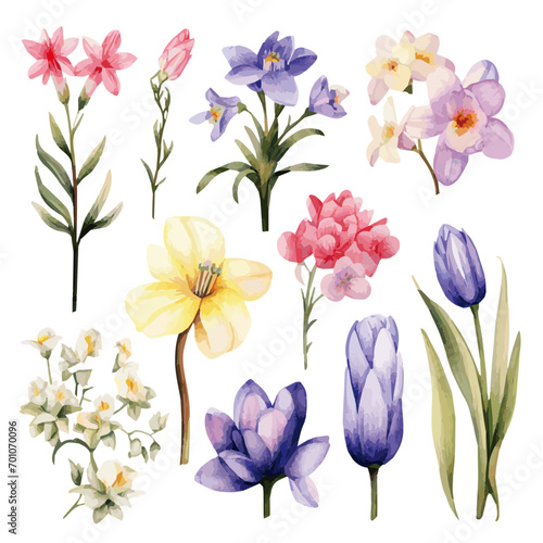 collection of spring flowers vectors
