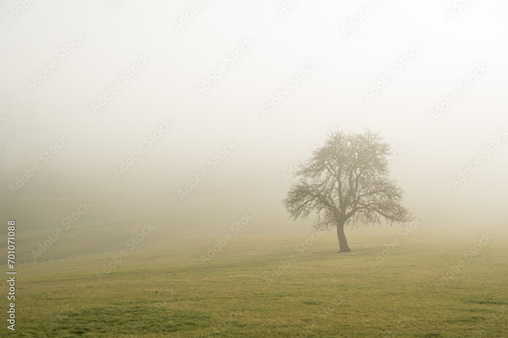 wafts of fog in the mountains of Austria wafts of fog in the mountains of Austria