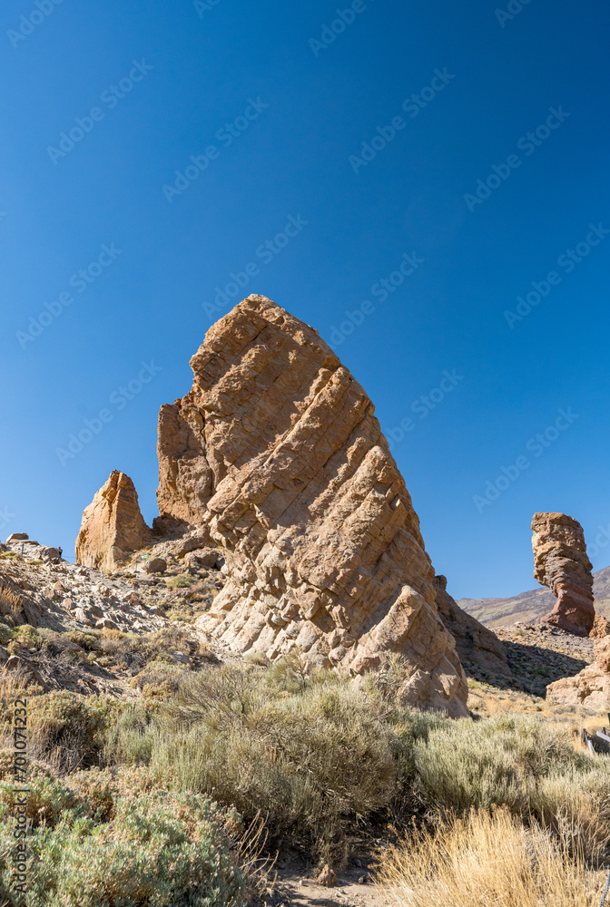 Teide nature reserve