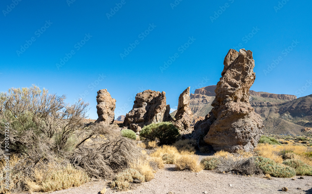 Fototapeta premium Teide nature reserve