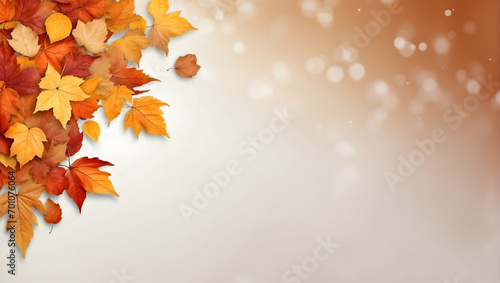 Autumn leaves background images  Fall foliage stock photos  Seasonal leaves copy space  White background with autumn leaves  Nature theme with copy space  Autumnal foliage visuals