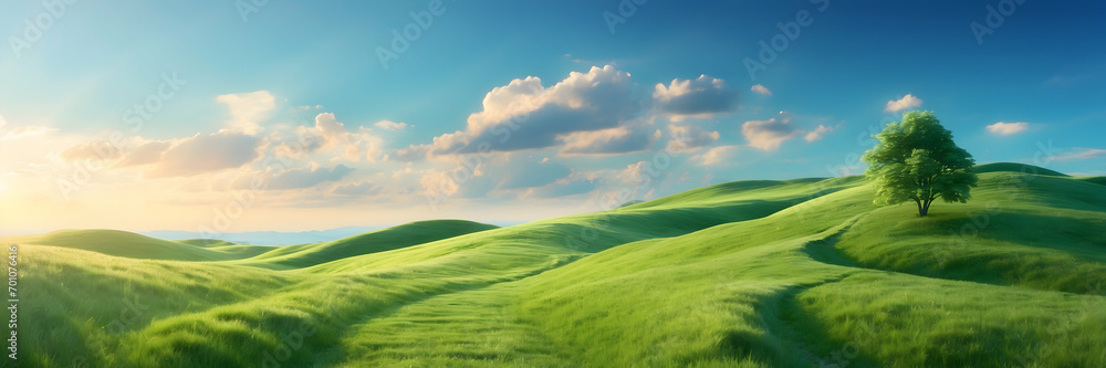 Picturesque winding path visuals, Green grass field landscape, Hilly area in morning at dawn, Winding path through grass stock, Panoramic spring summer landscape, Natural winding trail visuals, Grass 