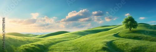 Picturesque winding path visuals, Green grass field landscape, Hilly area in morning at dawn, Winding path through grass stock, Panoramic spring summer landscape, Natural winding trail visuals, Grass 