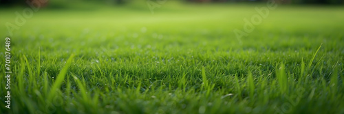 Wide format grass background, Neatly trimmed grass carpet photos, Beautiful grass texture images, Bright green mowed lawn visuals, Green grass field stock photos, Nature grassplot shots