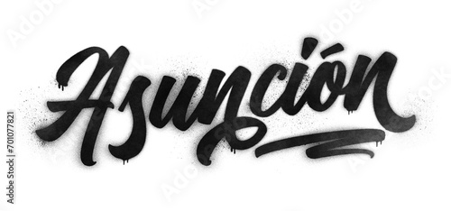 Asunción city name written in graffiti-style brush script lettering with spray paint effect isolated on transparent background
