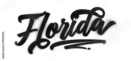 Florida state name written in graffiti-style brush script lettering with spray paint effect isolated on transparent background