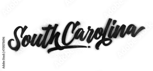 South Carolina state name written in graffiti-style brush script lettering with spray paint effect isolated on transparent background