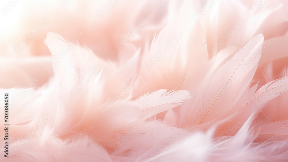 Selective focus Background of  pink  feathers, fluffy, wallpaper