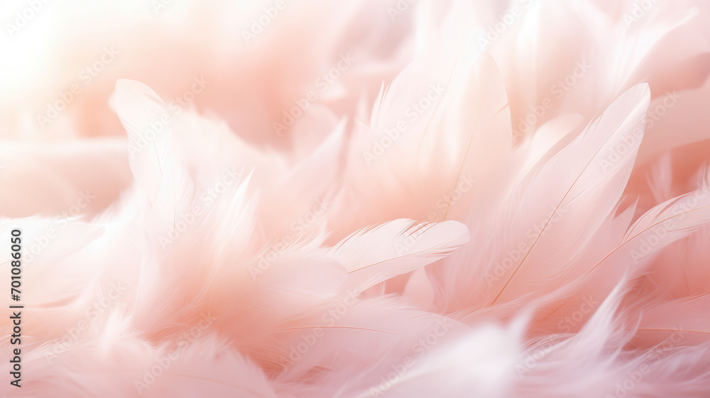 Selective focus Background of pink feathers, fluffy, wallpaper Selective focus Background of pink feathers, fluffy, wallpaper