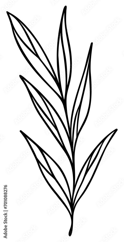 Naklejka premium Leaf Line Art